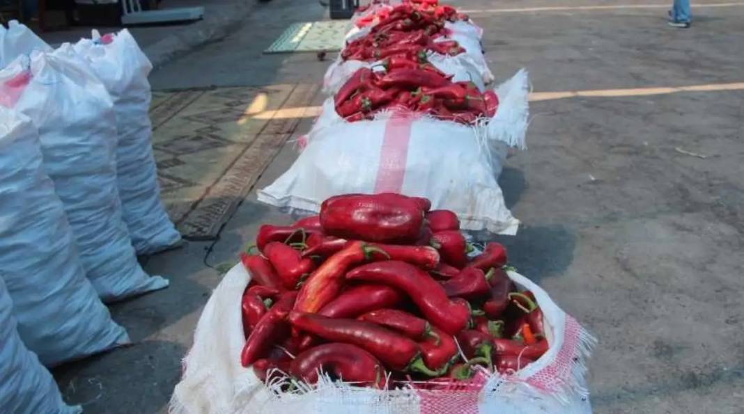 Adana’nın Tescilli Karaisalı Biberinde Salça Sezonu Açıldı 4